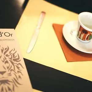 Hotel Restaurant Le Lion D'or **
